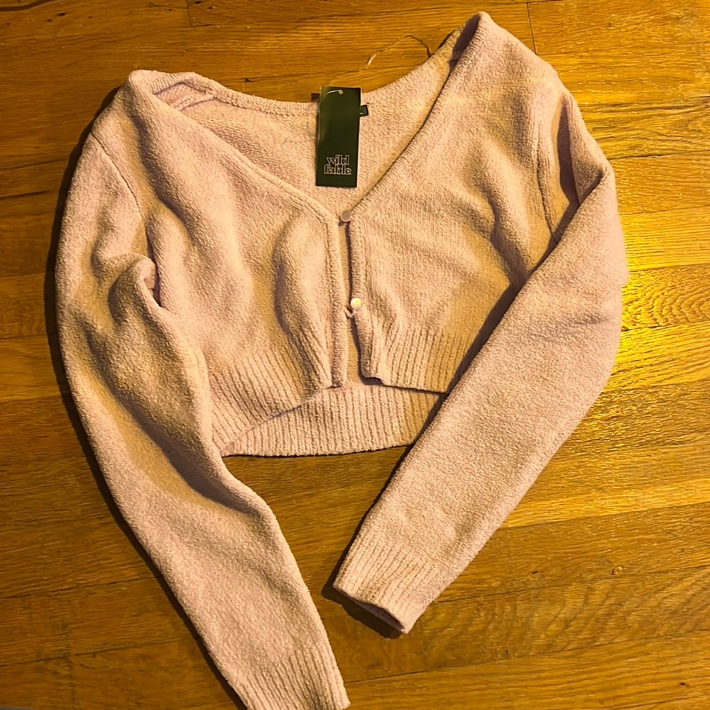 light purple wild fable long sleeve crop top